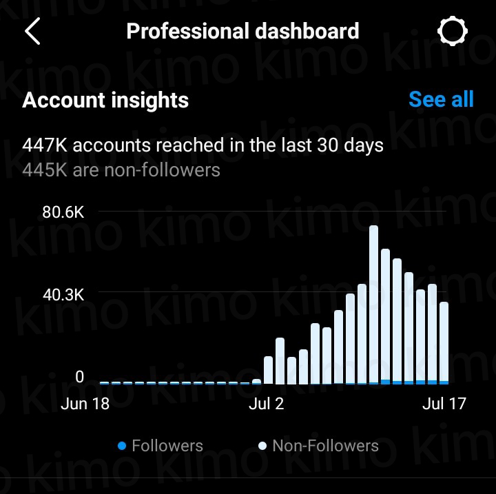 447 thousand accounts reached in 30 days on instagram reels